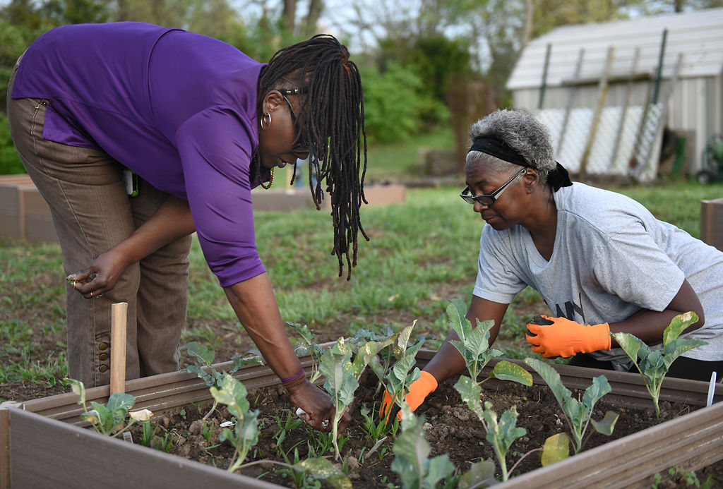 Dee Campbell-Carter and Dorothy Slaughter tend to a garden plot